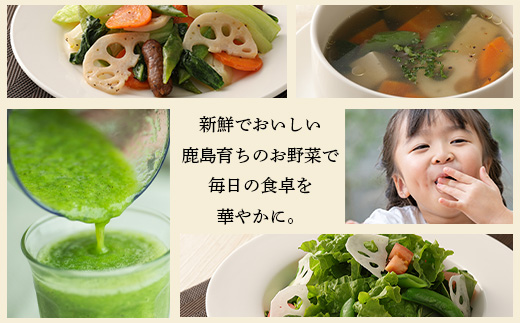 H-13 【１２ヶ月お届け】旬のおまかせ野菜BOX定期便