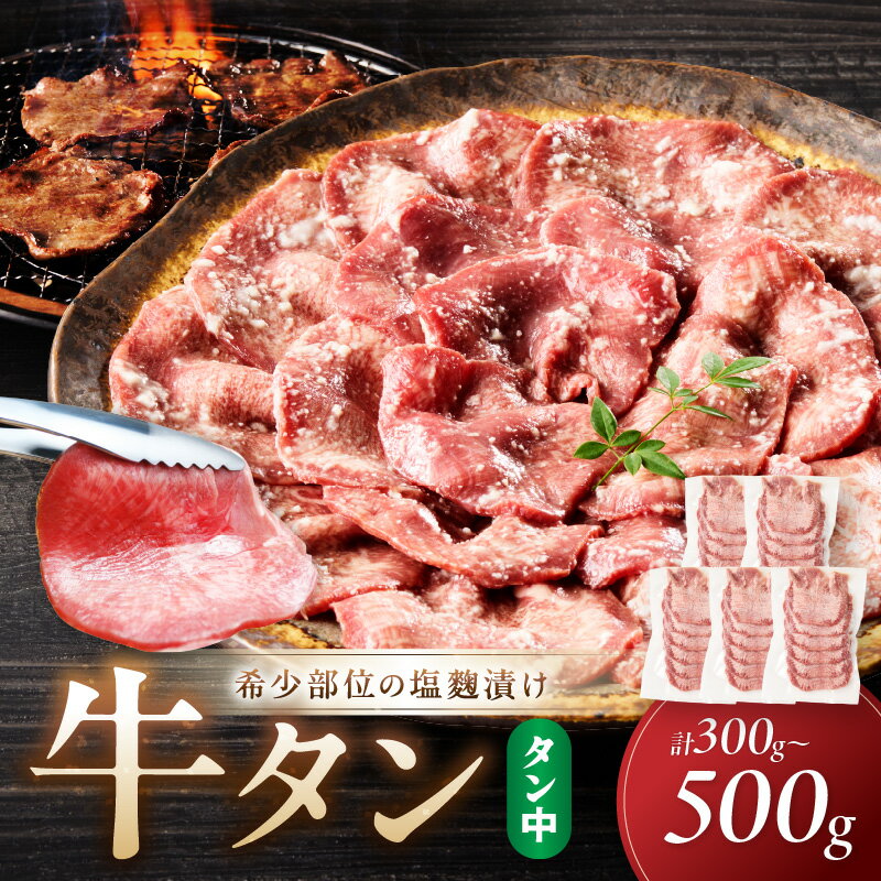 【ふるさと納税】牛タン（塩麴漬け） 1パック 100g 3袋 5袋
