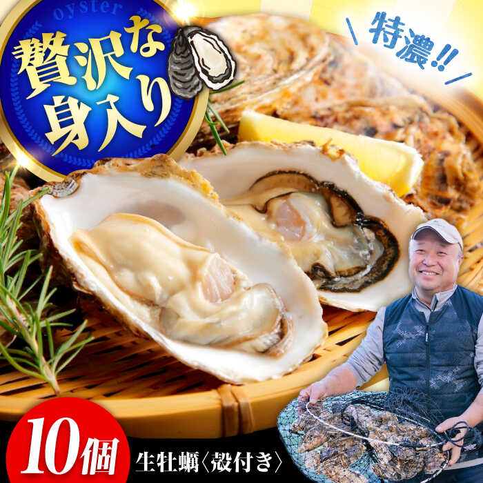 【ふるさと納税】高品質の牡蠣を産地直送！ 【生牡蠣】【着日指定可能】『てつまるかき』牡蠣 殻付き 10個 加熱用 魚介類 海鮮 牡蠣 むき身 冷凍 かき カキフライ カキ ギフト 広島県産 人気 送料無料 江田島市/有限会社テツマル海産[XCO005]