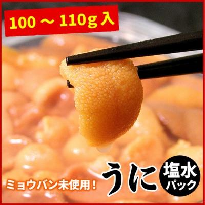ふるさと納税 根室市 【年内配送可】エゾバフンウニ(黄色)塩水P100〜110g C-07021