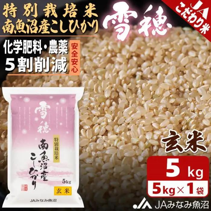 【令和8年＼新米／】特別栽培米南魚沼産こしひかり「雪穂」玄米 5kg ｜こしひかり