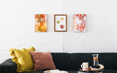 富士フイルム WALL DECOR カジュアル A3 面種: 美濃和紙 | インテリア 写真 フォト 