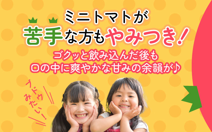 【7月中旬より順次発送】甘みと酸味の絶妙なバランス！ミニトマト「ほれまる」 約2kg 【梶原耕藝】 [YDQ001]