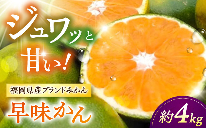 
            【2025年9月中旬より発送】福岡産ブランド みかん 早味かん 約4kg ▼ 果物 ミカン  みかん フルーツ 九州産 国産 人気 おすすめ ランキング 高評価 桂川町/南国フルーツ株式会社[ADBW023]
          