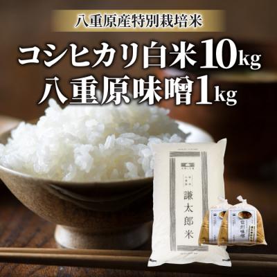 ふるさと納税 東御市 【令和8年産 新米】八重原産コシヒカリ白米「謙太郎米」10kgと 信州味噌「八重原味噌」1kg