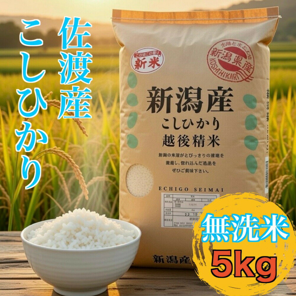 【ふるさと納税】無洗米 コシヒカリ 5kg 令和7年産 佐渡産 お米 精米 研がずに炊ける 世界農業遺産の島 トキと共生 こしひかり ごはん おにぎり お弁当 新潟県 佐渡市
