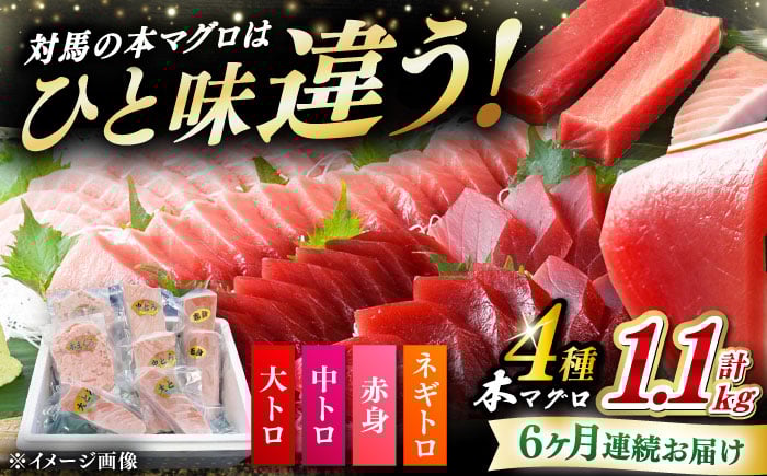 
            【全6回定期便】 対馬産 本マグロ 4種 計1.1kg（赤身/中トロ/大トロ/ネギトロ）《対馬市》【対海】 冷凍配送 食べ比べ 新鮮 手巻き寿司 海鮮丼 [WAH038]
          