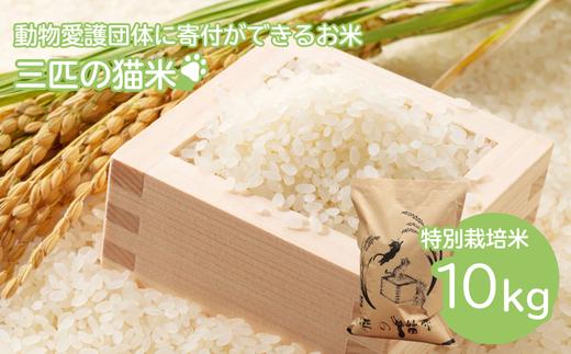 三匹の猫米/動物保護に携われる/特別栽培米 10kg