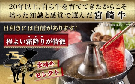 宮崎牛【赤身霜降り】すきしゃぶ350g - (都城市) 宮崎牛 ウデまたはモモ スライス すき焼き しゃぶしゃぶ 焼きしゃぶ 贈答用 ギフト_AA-6512