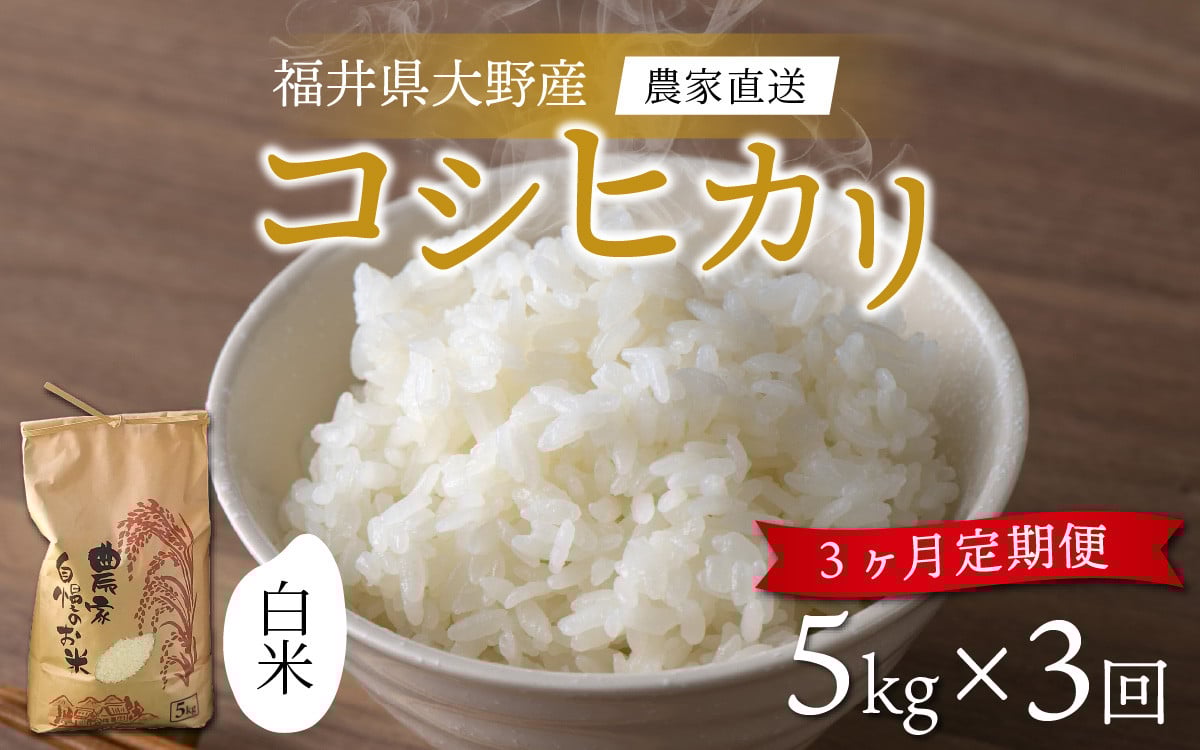 
            【令和7年産 新米】【3ヶ月定期便】福井県大野市産 一等米 コシヒカリ 白米 精米 5kg 農家直送 
          