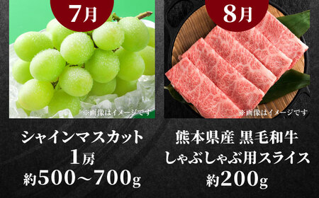 【先行予約】【全4回定期便】合志市肉と果物定期便 スタンダードコース[AYZZ010]