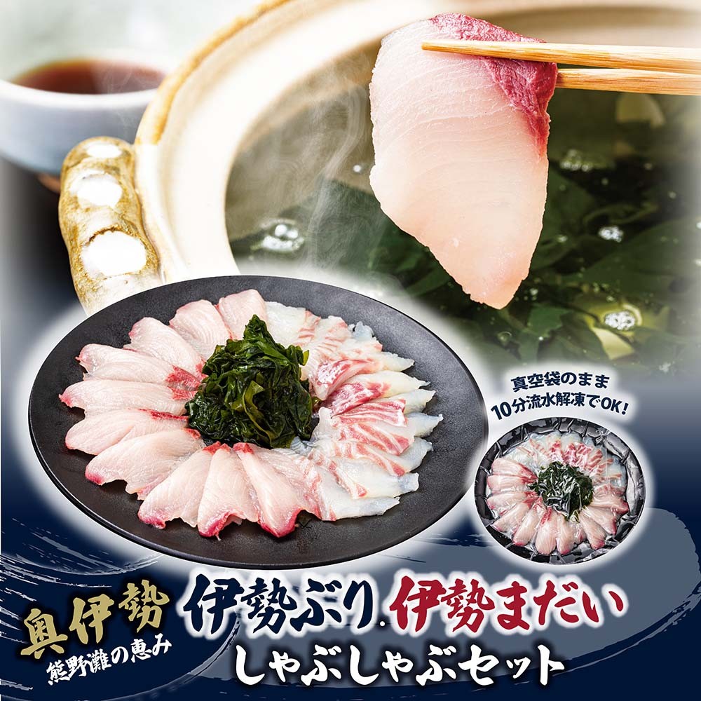 
                  （冷凍）【１月第２週発送】伊勢ぶり 伊勢まだい しゃぶしゃぶ セット 食べ比べ 選べる配送月 約200g ／ 2人前 3人前 鰤 ブリ 真鯛 鯛 タイ ひろめ付 冷凍 年内配送 年末 お取り寄せ 海鮮 魚 ギフト 鍋 海産物 水産物 三重県 大紀町
                