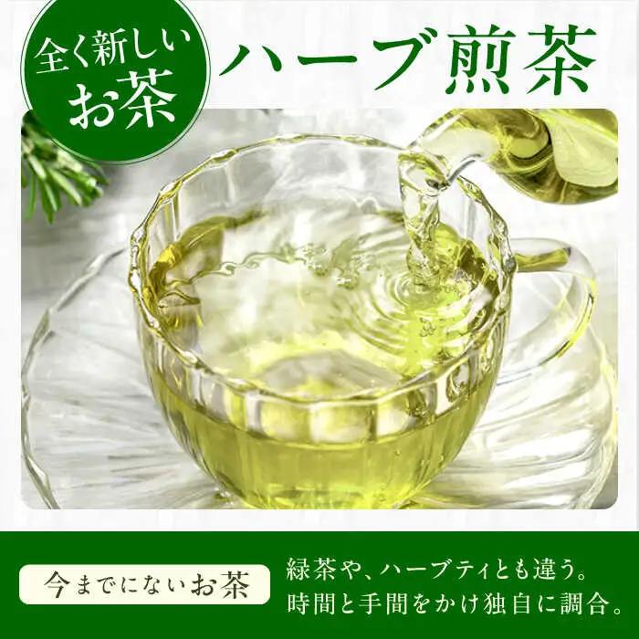 ペパーミントティーバッグ2.5g×10包 / ティーバッグ お茶[AFAG017]