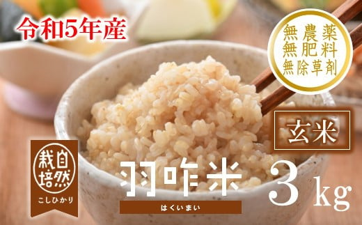 
[A017] 【無農薬】【玄米】能登のこだわり自然栽培こしひかり『羽咋米』 ３kg
