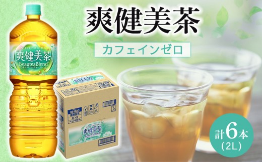 コカ・コーラ 爽健美茶 2L × 6本 1ケース 【 お茶 ドリンク ドリンクお茶 ペットボトル ペットボトルお茶 箱 和歌山県 海南市 AX40-NT 】
