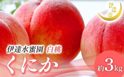 
                  【2026年出荷分先行予約】<冷蔵配送>福島県産 くにか 約3kg (9～16玉) 有限会社伊達水蜜園 白桃 大玉 伊達の桃 桃 フルーツ 果物 もも モモ momo F21C-253
                