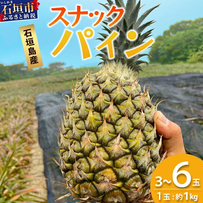 【ふるさと納税】【先行予約】《2026年5月上旬頃より順次発送》石垣島産 スナックパイン 3〜6玉 (約3〜6kg) | 産地直送 沖縄 石垣 パイナップル パイン スナック フルーツ トロピカル 南国 TP-7-1 TP-8-1 TP-9-1