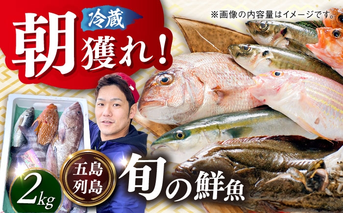 
            朝獲れ鮮魚セット2kg【五島列島直送】五島市/鯛福丸水産[PDP008]鮮魚BOX 詰め合わせ 詰合せ せんぎょ 冷蔵 刺身 魚 海鮮 直送 さかな 新鮮人気 おすすめ
          