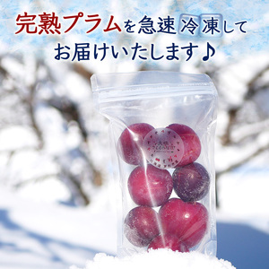 冷凍プラム 500g 冷凍 プラム 果物 くだもの フルーツ 旬の果物 旬のフルーツ 大橋さくらんぼ園 果物類 フルーツ デザート 完熟 急速冷凍 新鮮 美味しい 人気 冷凍配送 北海道 芦別市