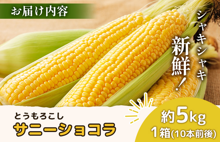 【2026年度発送分】上原農場直送 有機栽培とうもろこし (サニーショコラ) 約5kg 約10本前後 | ふるさと納税 北海道 中標津 なかしべつ とうもろこし サニーショコラ とうきび コーン 野菜