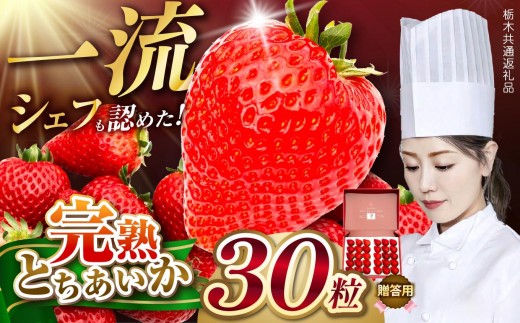 
                  一流シェフが認めた「とちあいか」 GiftBox(贈答用) 30粒 栃木県共通返礼品
                