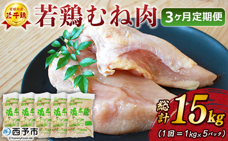 ＜愛媛県産 銘柄鶏 浜千鶏（はまちどり）若鶏むね肉 5kg（1kg×5）3ヶ月定期便＞ 国産 鶏肉 大容量 業務用 家庭用 鳥肉 とり チキン ムネ 精肉 塊 ブロック 定期便 産地直送 愛媛県 西予