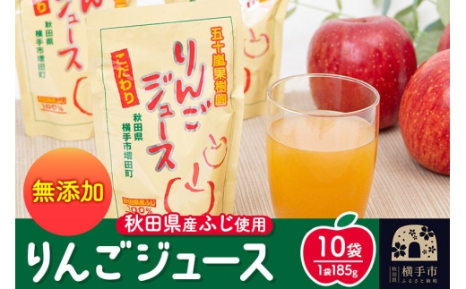 無添加りんごジュース(サンふじ) 10パック×1箱 [りんご リンゴ 林檎 ストレート 無添加 果汁100%]