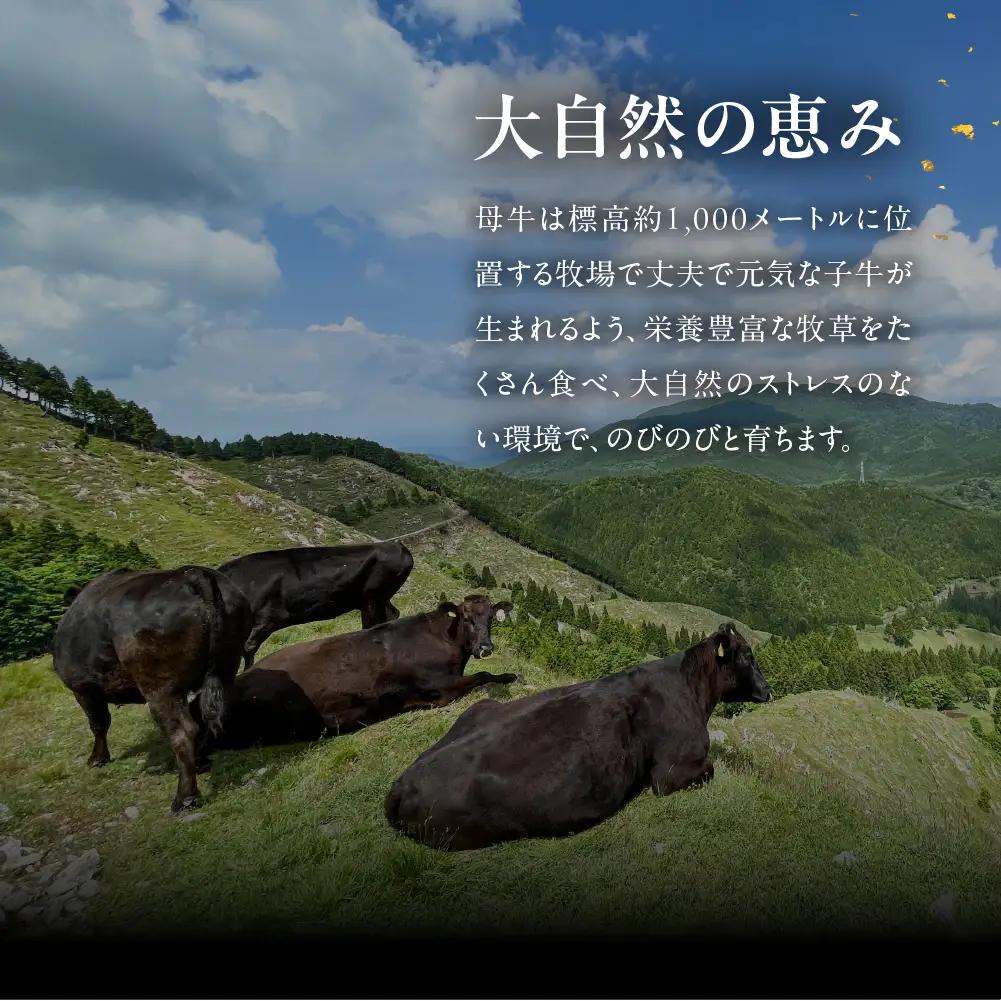 【2026年12月発送】飛騨牛カルビ 焼肉用（1kg）【22-26(12)】