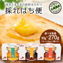 【ふるさと納税】採れはち便 選べる1セット～3セット 1セット30g×3個入りはちみつ ハチミツ 蜂蜜 国産 非加熱 完熟 はちみつ 食べ比べ 調味料 ハニー 純粋 東神楽ふるさと納税 北海道ふるさと納税