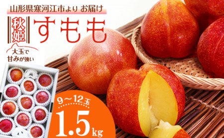 大きな すもも 「秋姫」 1.5kg（9〜12玉）山形産 2024年産 令和6年産 【2024年9月中旬頃～9月末頃発送予定】　012-B-MM020