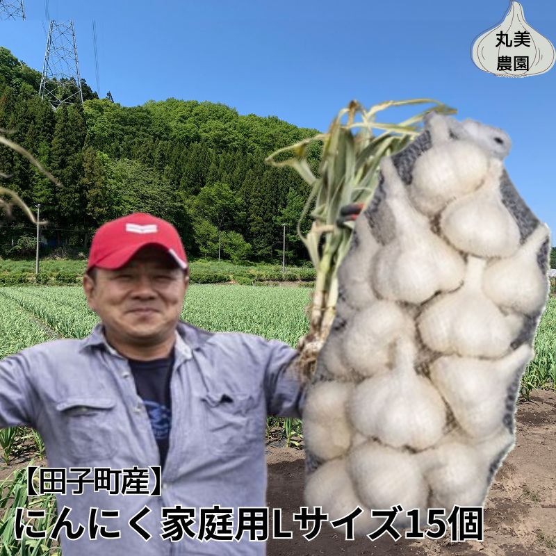 【ふるさと納税】丸美農園 田子産にんにく家庭用Lサイズ 15個　薬味・ニンニク・青森県産　お届け：10月1日〜3月31日まで