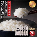 【ふるさと納税】 【令和6年産】 ＼新米／ 田村産 無洗米 コシヒカリ 20kg ( 5kg × 4袋 ) ギフト 贅沢 のし対応 福島 ふくしま 田村 贈答 美味しい 米 コメ ご飯 ブランド米 精米したて お米マイスター 匠 食味鑑定士 安藤米穀店