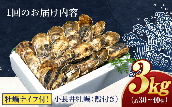 【2回定期便】長崎県諫早市小長井牡蠣(殻付きカキ)3kgカキナイフ付き / 牡蠣 かき　カキ 小長井牡蠣 貝 / 諫早市 / 諫早湾漁業協同組合 [AHBJ010]