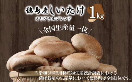 生しいたけ 1kg しいたけ
