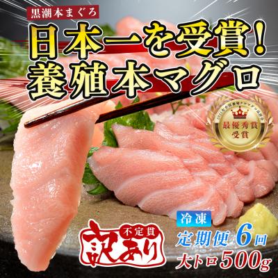 ふるさと納税 大月町 訳あり まぐろ マグロ 本鮪 黒潮本まぐろ 大トロ 定期便 6回 500g × 6回 刺身