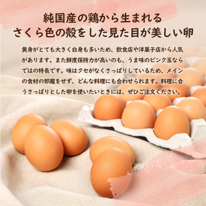 【2ヶ月定期便】”忍野の卵”旨味のピンク玉　※卵15個+割れ保証5個　計40個
