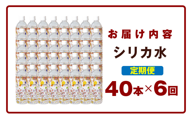 【定期便】ALOHAS シリカ水 合計20L (500ml×40本入り)×全6回 099Z363_イメージ5