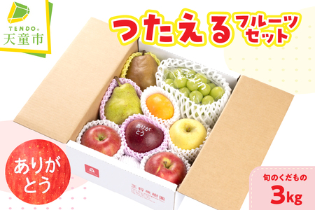 つたえる フルーツ セット 3kg 果物 山形 フルーツ
