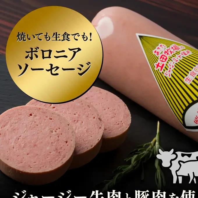 ボロニアソーセージ 土田牧場 ジャージーミート 生食OK ボロニアソーセージ【500g×3本】【冷蔵】