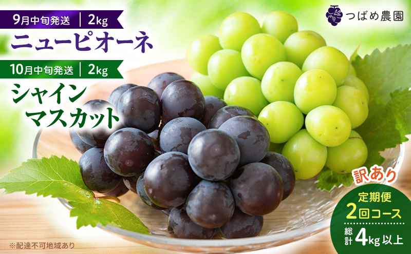 2027年 ぶどう 訳あり よくばり定期便 9月と10月の2回コース 総計 4kg 【1回目ニューピオーネ 2kg 9月中旬発送】 【2回目シャインマスカット 2kg 10月中旬発送】 岡山県高梁市産 9月10月各月発送 数量限定