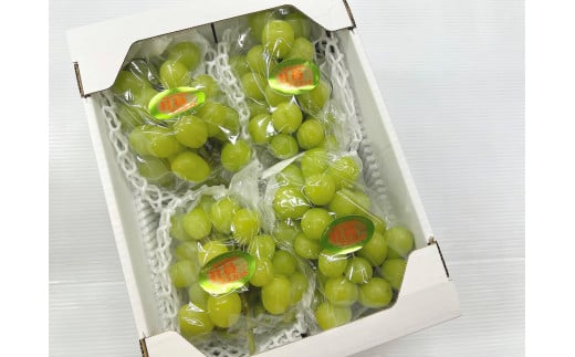 【2026年先行予約】訳ありだけど、甘～いシャインマスカット/約2kg (岡山県産) 【KF-B020-03】