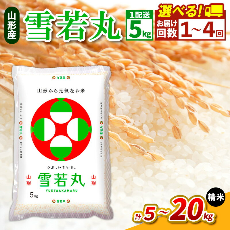 【ふるさと納税】令和7年産 山形県産 雪若丸 精米 5kg FY24-537 1回 2回 3回 4回 定期便 配送回数 発送回数 選べる
