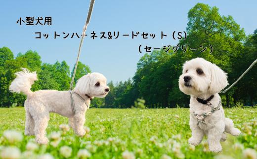 8-035-001　小型犬用 コットンハーネス（Sサイズ）&リードセット（セージグリーン）