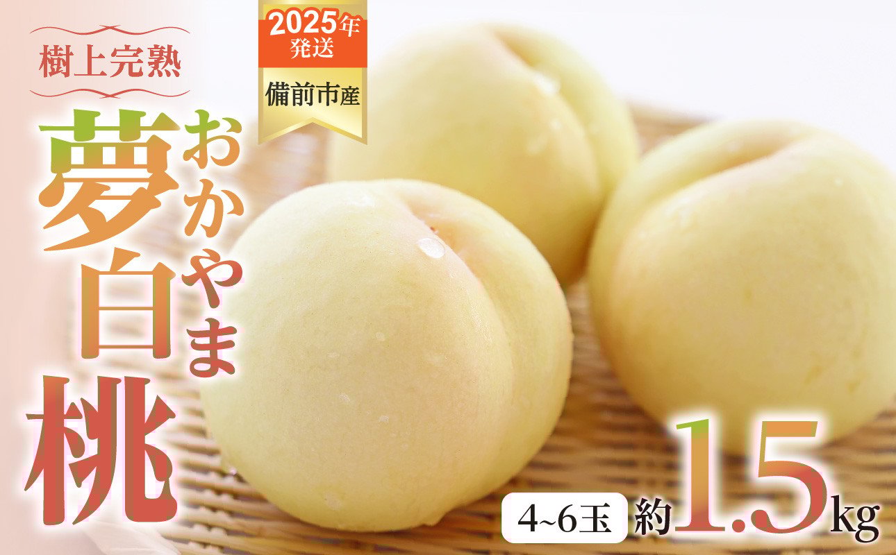 
            【2025年発送】びぜん白桃　おかやま夢白桃　約1.5kg 【 岡山県備前市産 おかやま夢白桃 約1.5kg（４～６玉目安）】
          