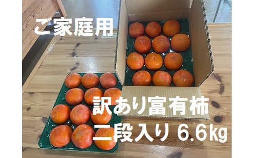 
            【レビューキャンペーン対象商品】【先行受付】【 数量限定 】精華園 の 家庭用 訳あり 富有柿 約6.6kg  【2025年12月上旬～12月下旬迄発送予定】
          
