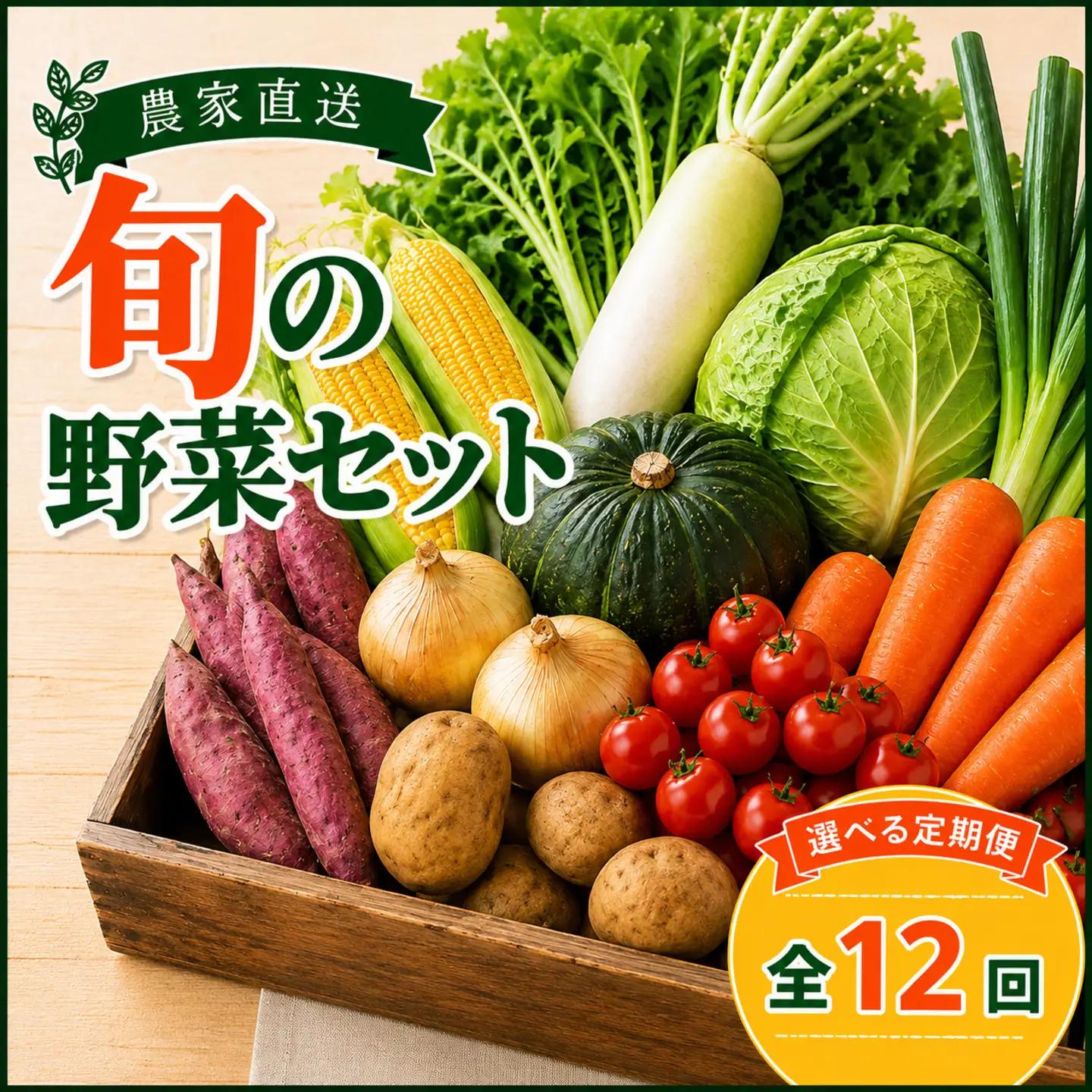 定期便 旬野菜セット 全12回 毎月 