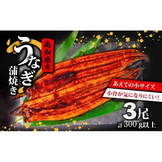 【 うなぎ蒲焼き 】 高知県産 うなぎ蒲焼き 100g～120g 3尾 セット ( うなぎ 蒲焼き スタミナ 土用の丑の日 小分け )