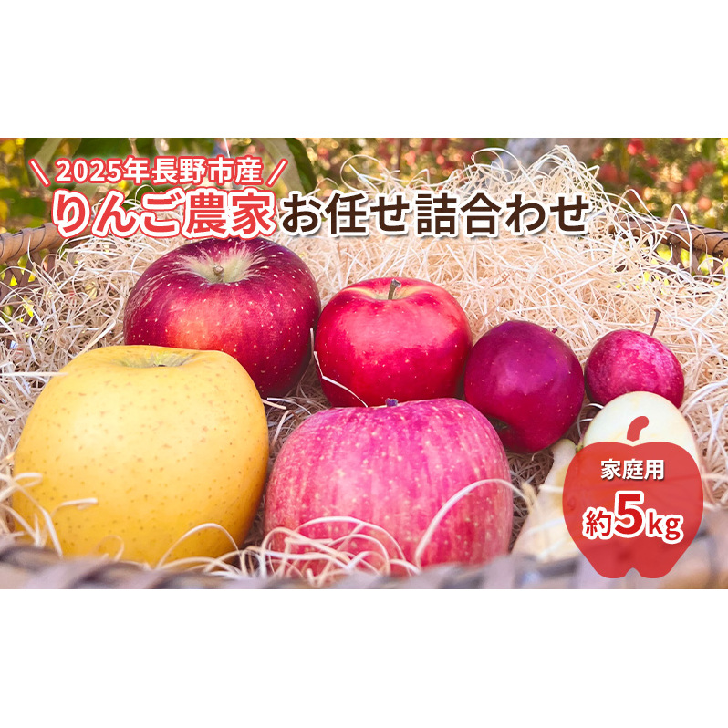 2026年産　長野市産　りんご農家お任せ詰合わせ　家庭用約5kg 林檎 リンゴ 詰め合わせ 果物類 果物 