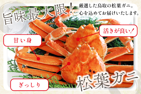 【蒸し】ご自宅用松葉ガニ 中 3枚 【松葉ガニ 松葉がに 松葉蟹 まつばがに かに カニ 冷蔵 チルド ブランド ズワイガニ 蒸し ボイル 自宅用 国産 季節限定 お取り寄せ 鳥取県 日吉津村 日本海