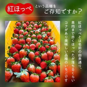 【3月発送】紅ほっぺ／270ag×4パック（4パック入り1箱）